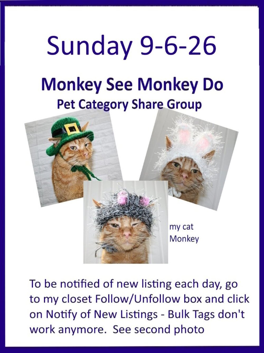 Sunday 9-6-26 Dog Cat Small Animal Pet Share Discussion Group
